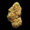 Exotic V2 -FLOAT- 101725 (1).webp