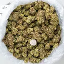 Oreoz Indoor -BAG- 060425 20250605LESBI.webp