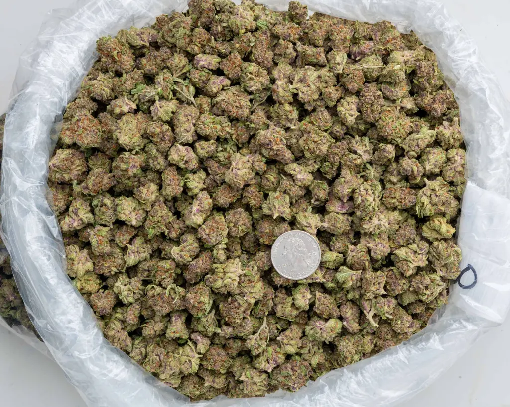 Tropicana Cherry Smalls -BAG- 102725.webp