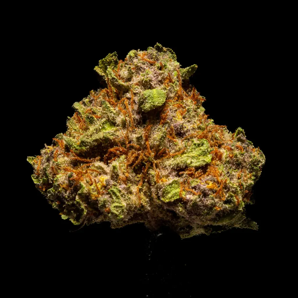 Tropicana Cherry Smalls -FLOAT- 102725.webp