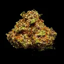 Tropicana Cherry Smalls -FLOAT- 102725.webp