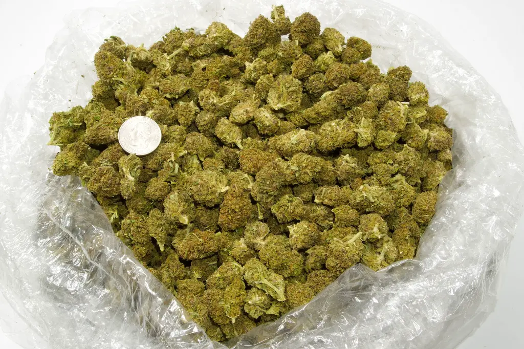 Cookies CBD- Quarter.webp