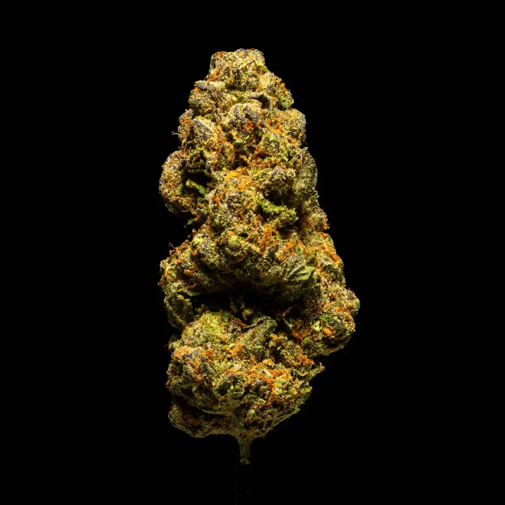 Orange Malt -FLOAT- 103125.webp