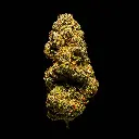 Orange Malt -FLOAT- 103125.webp