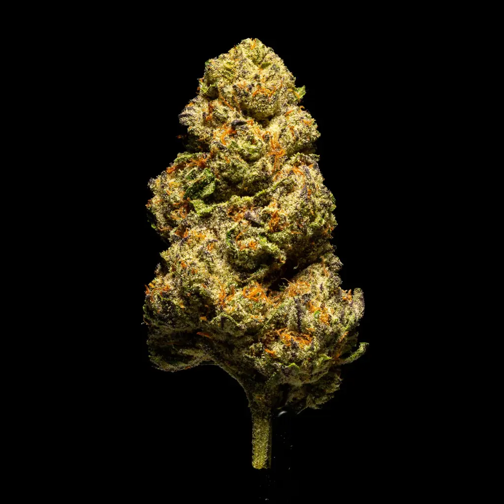 Amaretto Mintz x Mixed Berry -FLOAT- 103125.webp