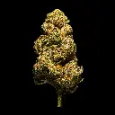 Amaretto Mintz x Mixed Berry -FLOAT- 103125.webp