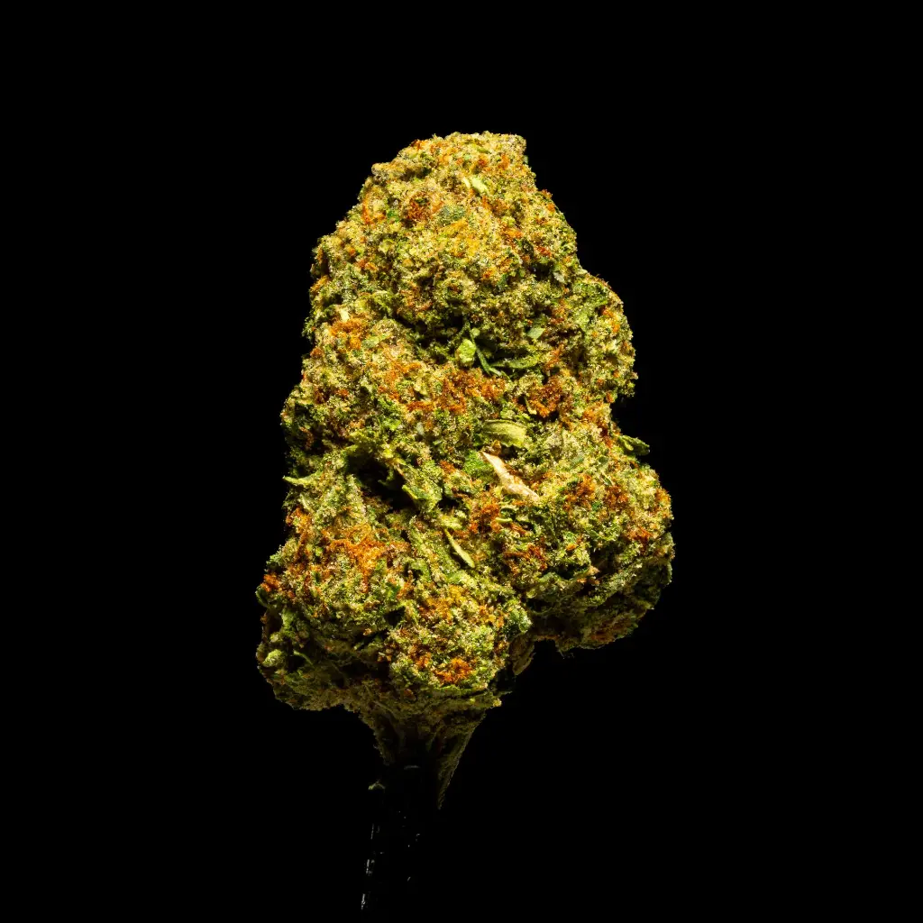 G41 -FLOAT- 103125.webp