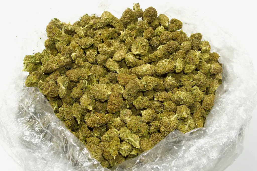 Cookies CBD- Bag.webp