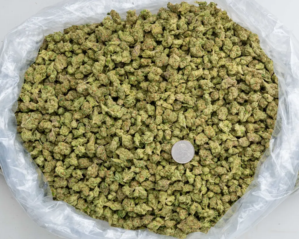 URunt Smalls -BAG- 103125.webp