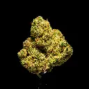 URunt Smalls -FLOAT- 103125.webp