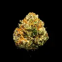 Martian Candy Smalls -FLOAT- 103125.webp