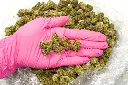 Cookes CBD- Glove.webp