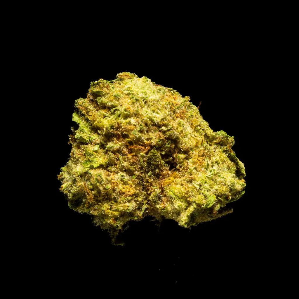 Z and P Smalls -FLOAT- 103125.webp