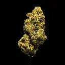 U Cuntz -FLOAT- 103125.webp