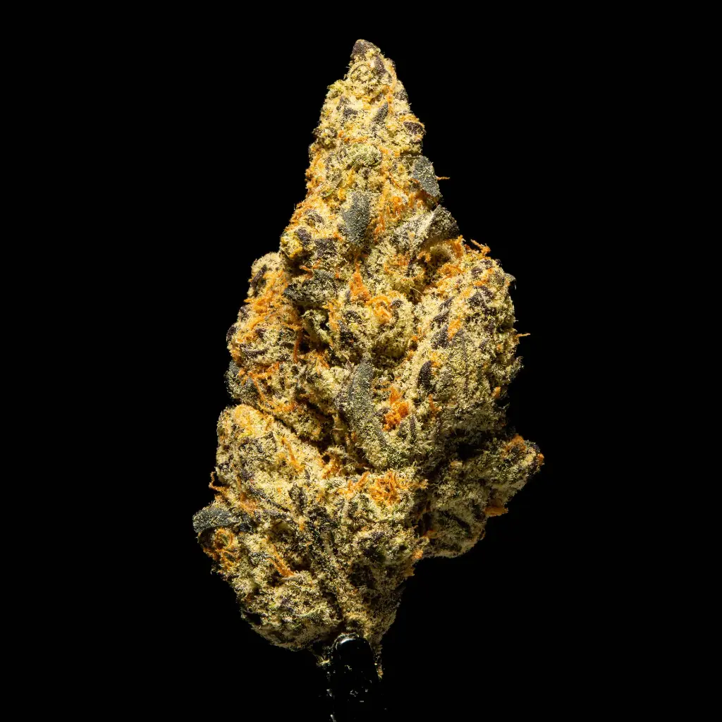 Gelonade -FLOAT- 102425.webp