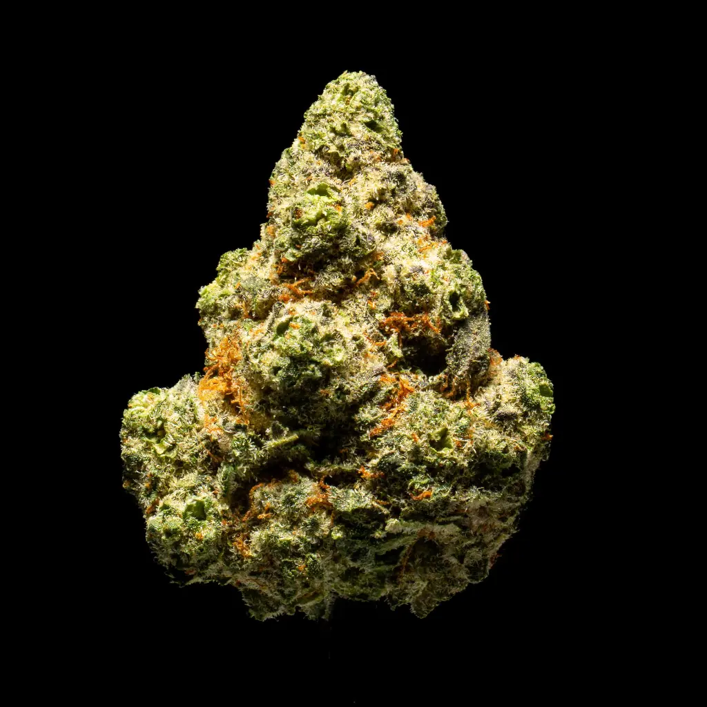 Singapore Sling Indoor Smalls -FLOAT- 102325.webp