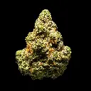 Singapore Sling Indoor Smalls -FLOAT- 102325.webp