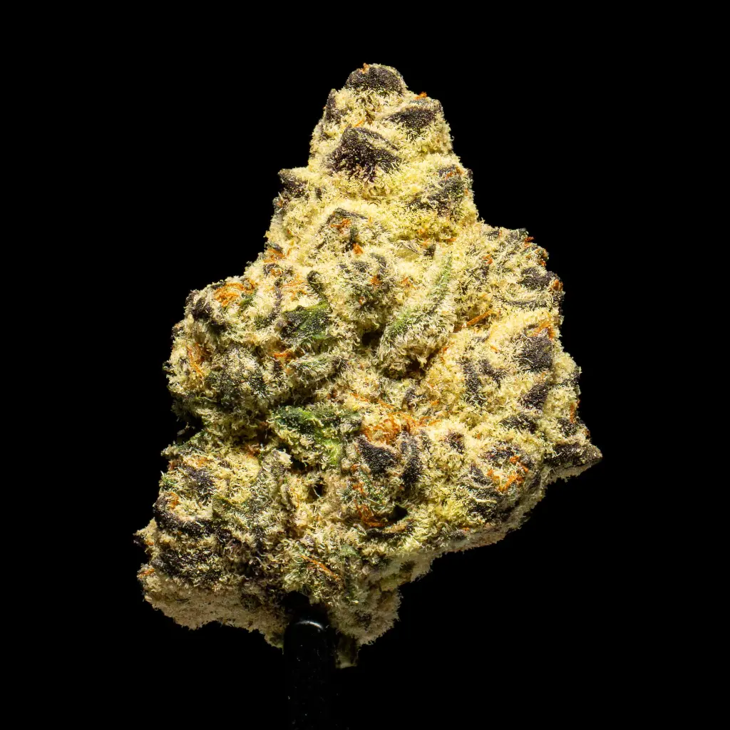 Lilac Diesel -FLOAT- 102325.webp