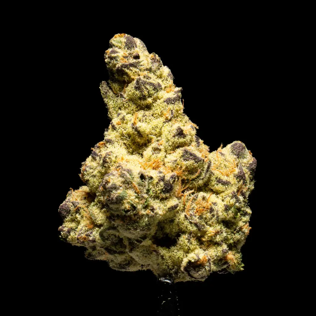 Devil Driver Indoor -FLOAT- 102325.webp