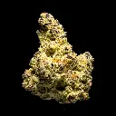 Devil Driver Indoor -FLOAT- 102325.webp