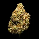 Oreo Blizzy Indoor -FLOAT- 102325.webp