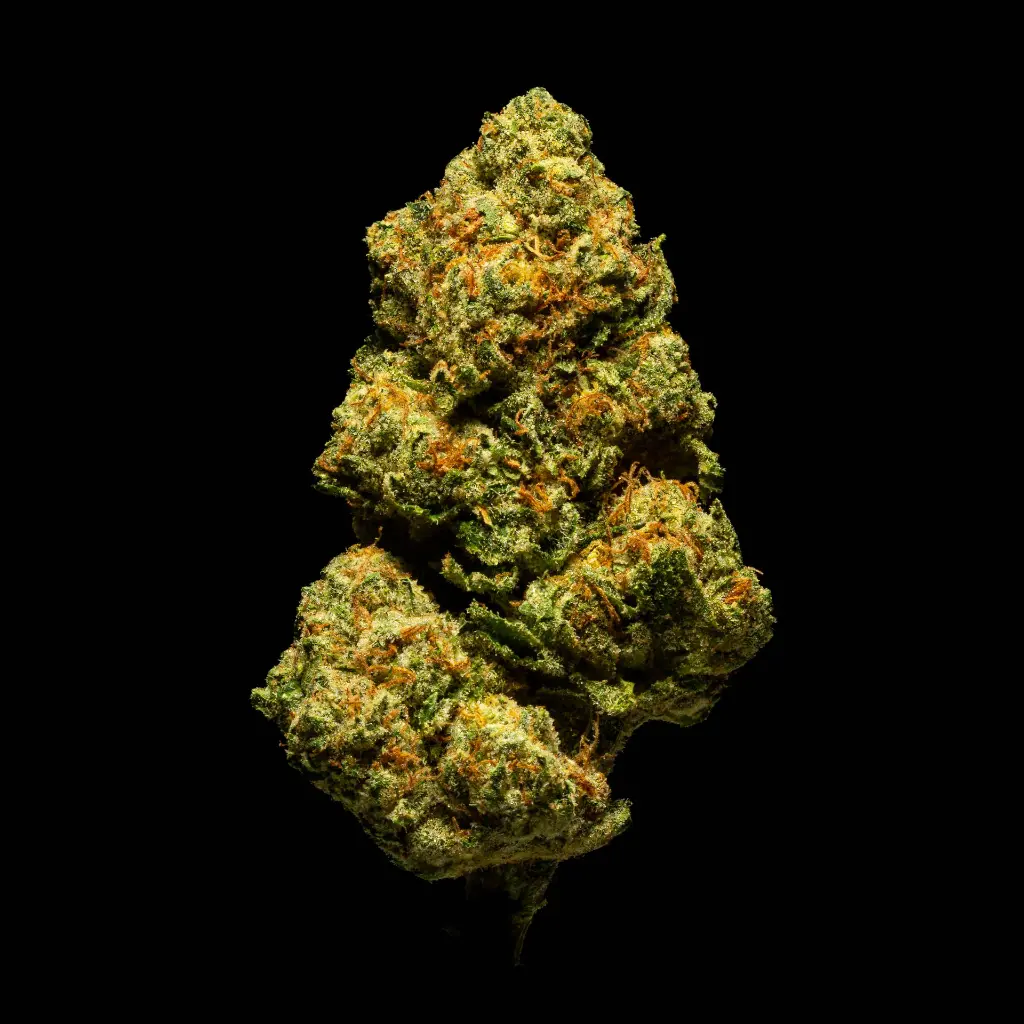 LC Guava #1 -FLOAT- 103125.webp