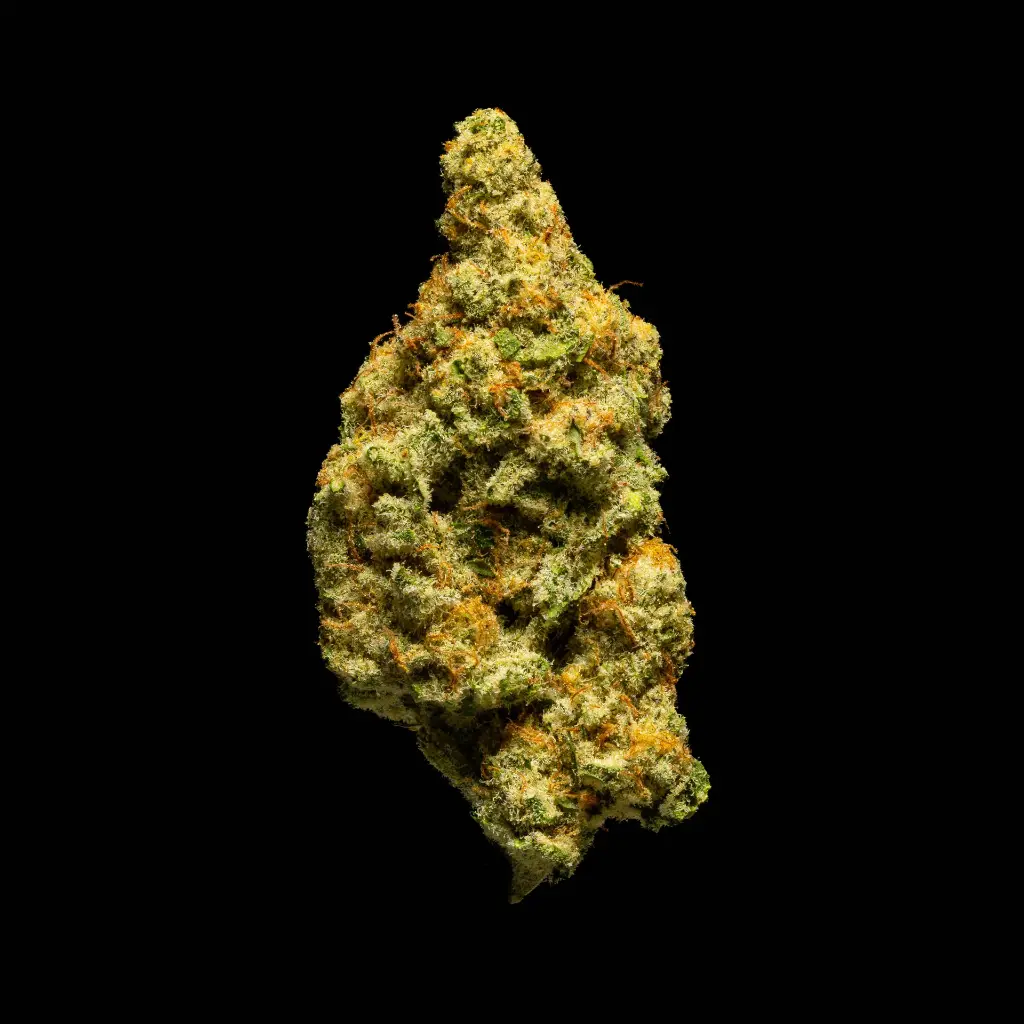 Mac -FLOAT- 103125.webp