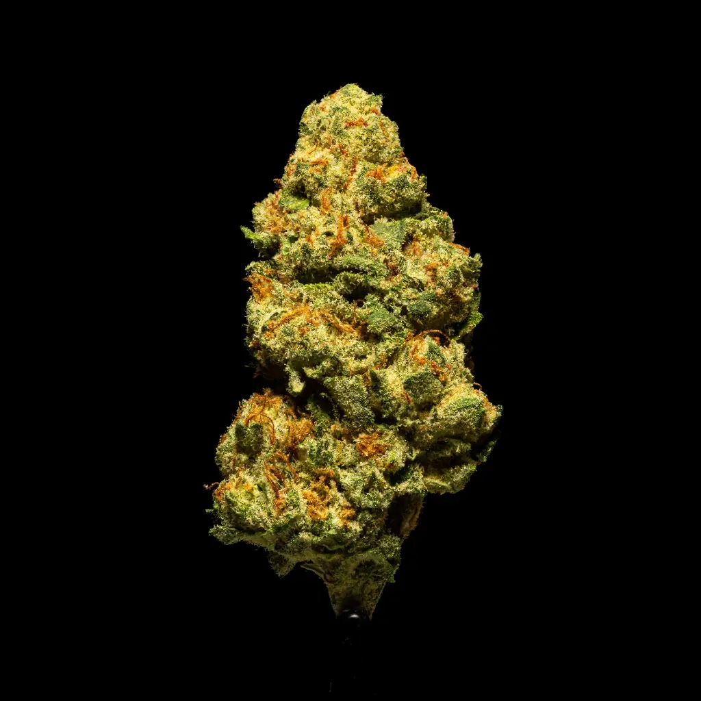Strawberry Gelato #2 -FLOAT- 103125.webp