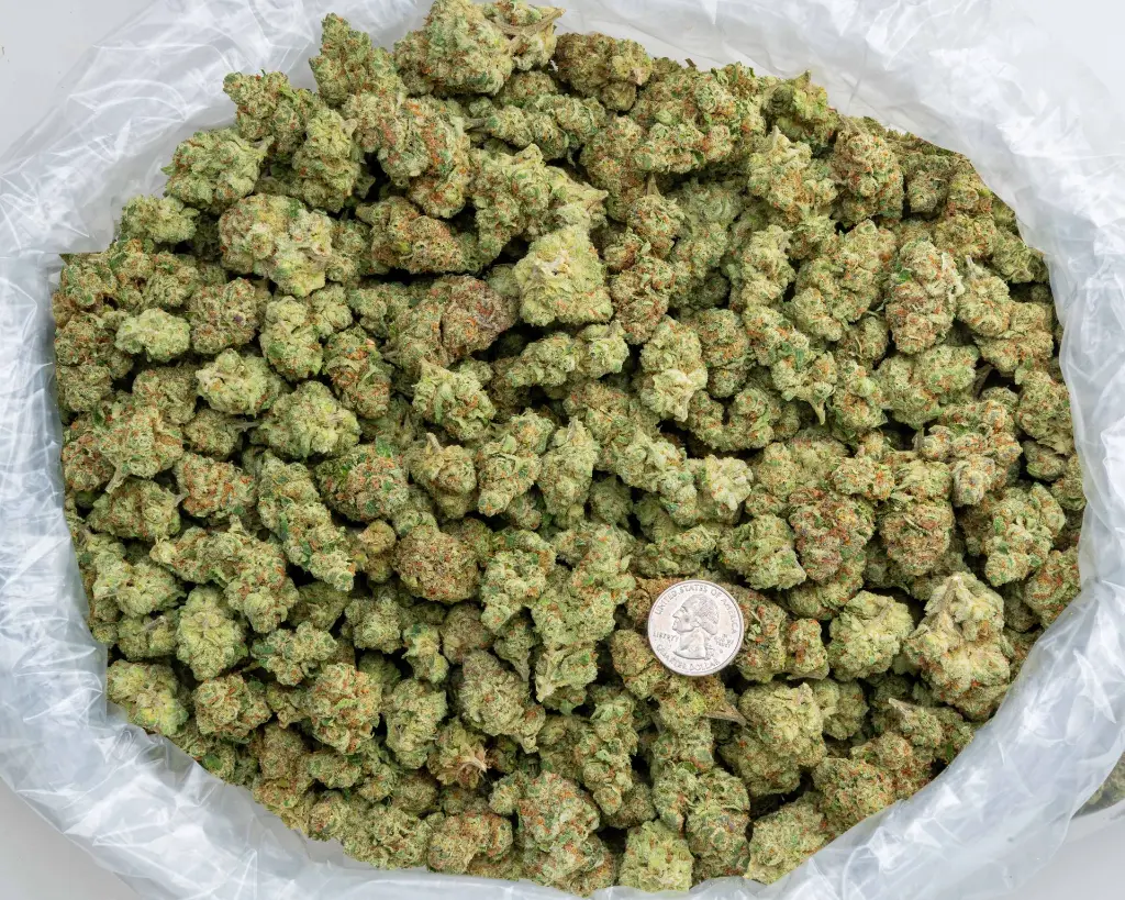 Strawberry Gelato #2 -BAG- 103125.webp