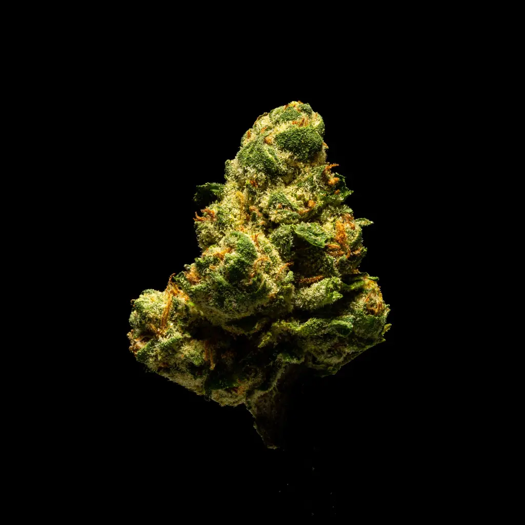 LC Guava Smalls -FLOAT- 103125.webp