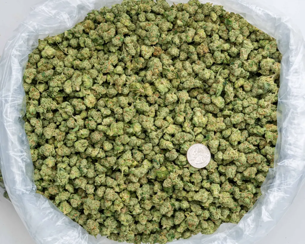 LC Guava Smalls -BAG- 103125.webp