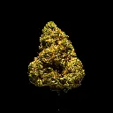 Gov't Oasis -FLOAT- 103125.webp