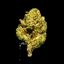 Candy Gel Smalls -FLOAT- 103125.webp