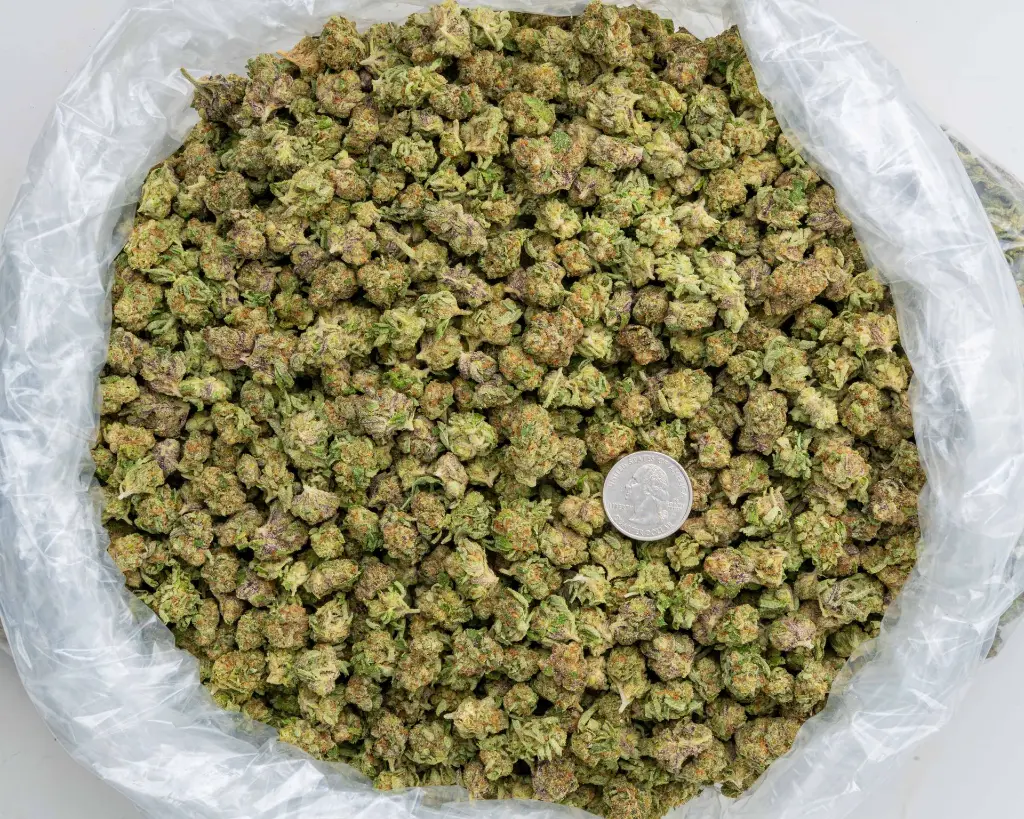 Karamel Kandy Smalls -BAG- 103125.webp