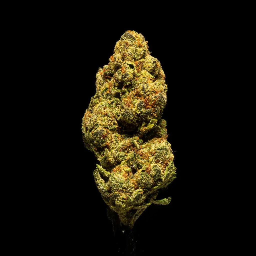 Magic Nights Smalls -FLOAT- 103125.webp