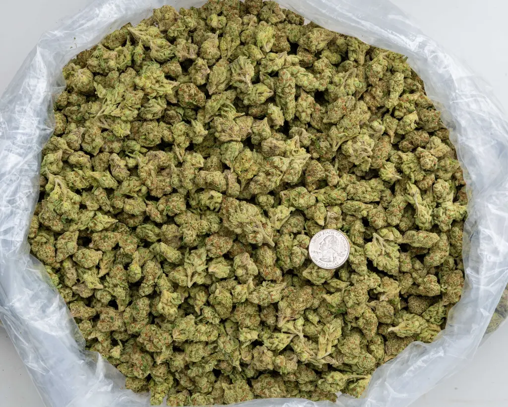 Magic Nights Smalls -BAG- 103125.webp