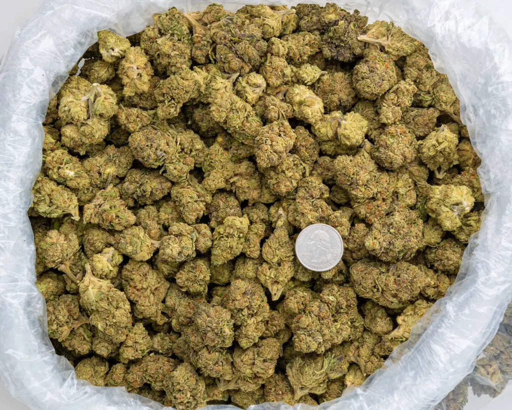 Tom Shelby #2 -BAG- 103125.webp