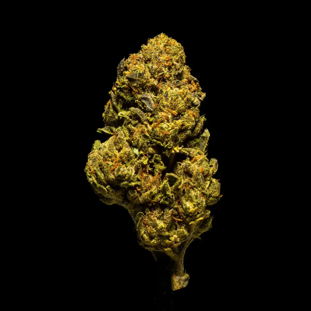 Tom Shelby #2 -FLOAT- 103125.webp