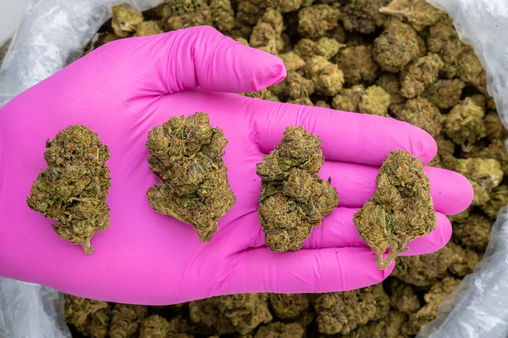 Tom Shelby #2 -PINK- 103125.webp