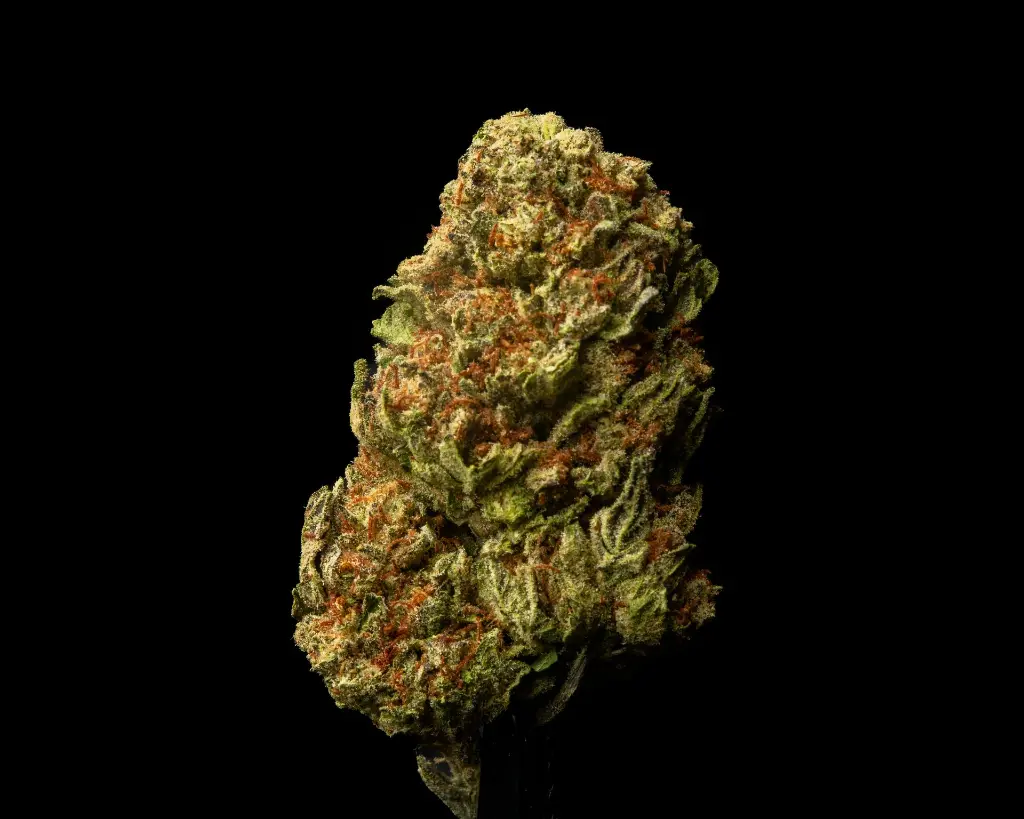 Red Velvet -FLOAT- 051225 20250508HTRVV.webp