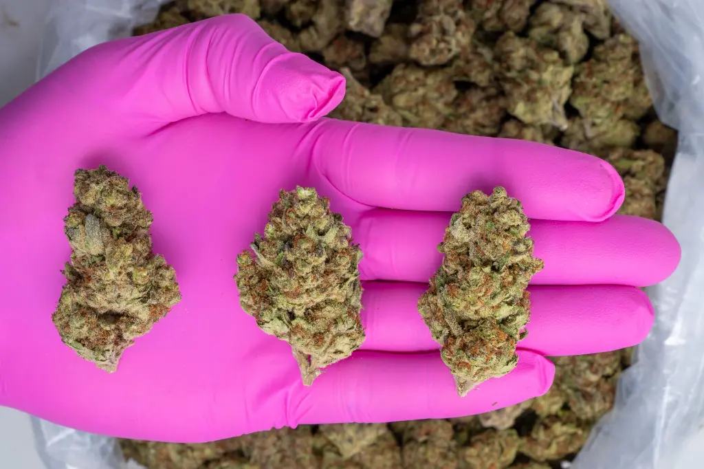 Red Velvet -PINK- 051225 20250508HTRVV.webp