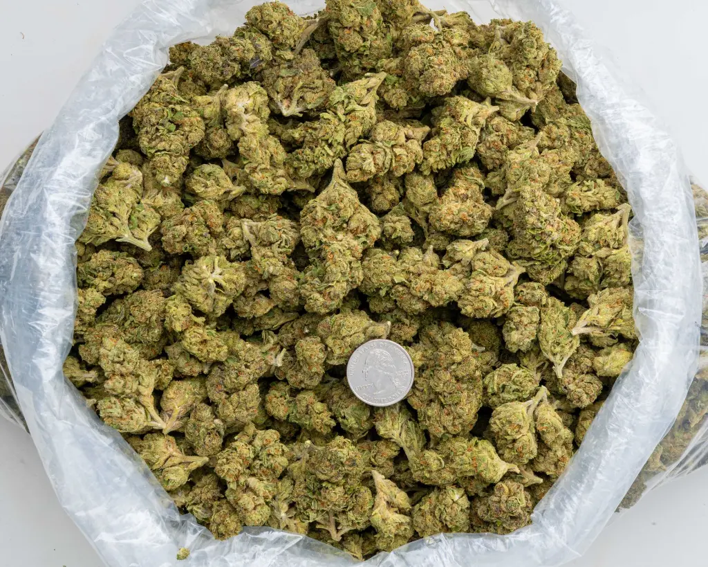 Tom Shelby #1 -BAG- 103125.webp