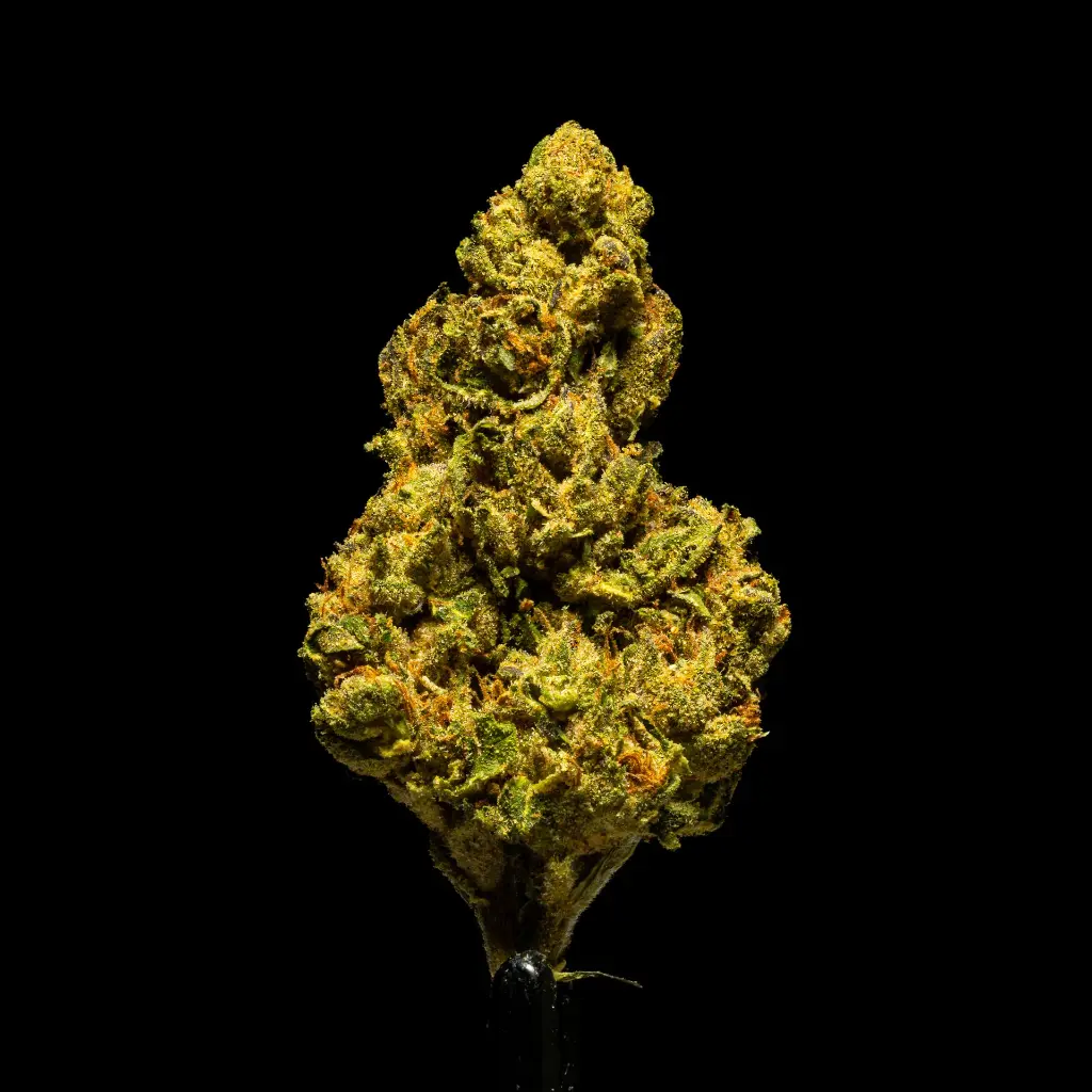 Tom Shelby #1 -FLOAT- 103125.webp