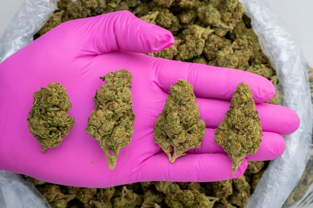 Tom Shelby #1 -PINK- 103125.webp