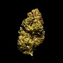 RS 1000 -FLOAT- 103125.webp