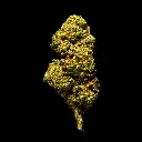 Lantz #1 -FLOAT- 103125.webp