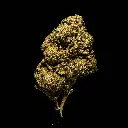 Lantz #2 -FLOAT- 103125.webp