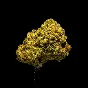 Wakada -FLOAT- 103125.webp