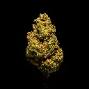 LCG x NM -FLOAT- 103125.webp