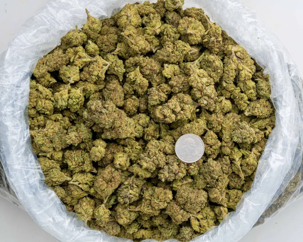 LCG x NM -BAG- 103125.webp